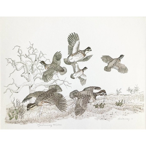 GENE MURRAY, “Quails” Lithograph Signed 22”X18” Print, 1977 305/700 - Picture 2 of 7